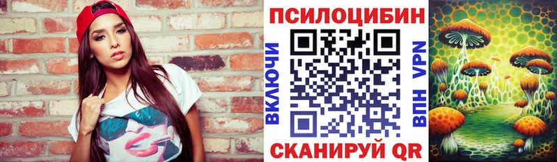 где можно купить наркотик  Чишмы  Псилоцибиновые грибы мухоморы 